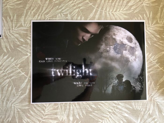 Lot affiches twilight - photo numéro 5