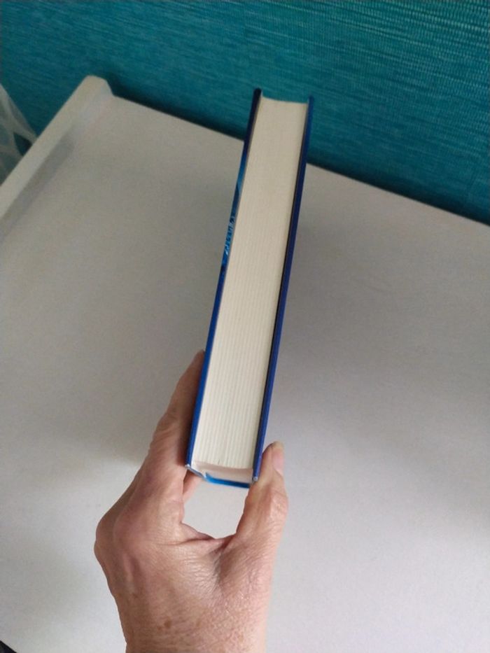 La deuxième femme de Tony Parsons - photo numéro 5