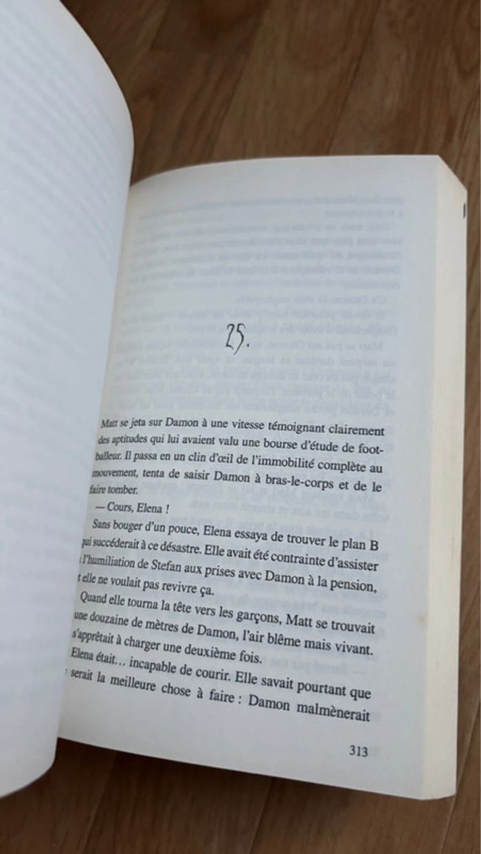 Livre journal d’un vampire - photo numéro 7