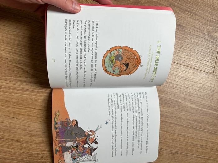 Livre sorcières - photo numéro 3