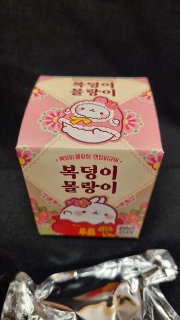 Blind Box Molang Vêtements Traditionnels - Corée du Sud