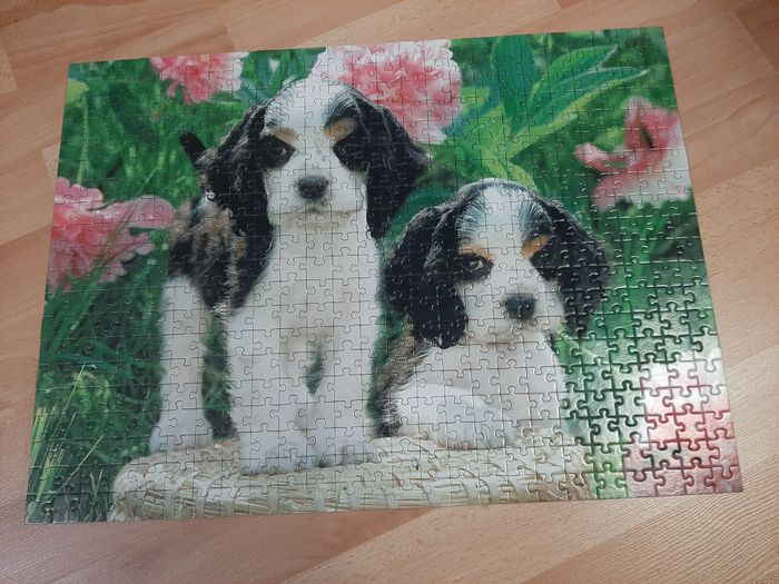 Puzzle 500 pieces chiens