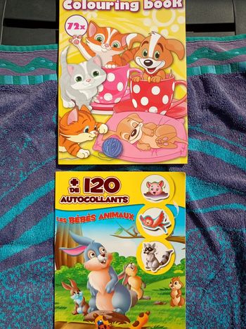 Livre de coloriage et livre d'autocollants