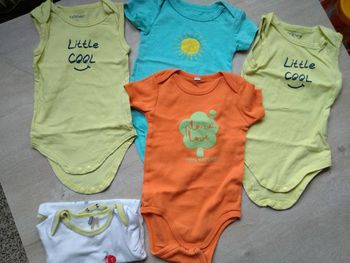 Lot de 5 bodies dont 1 offert, taille 18 mois