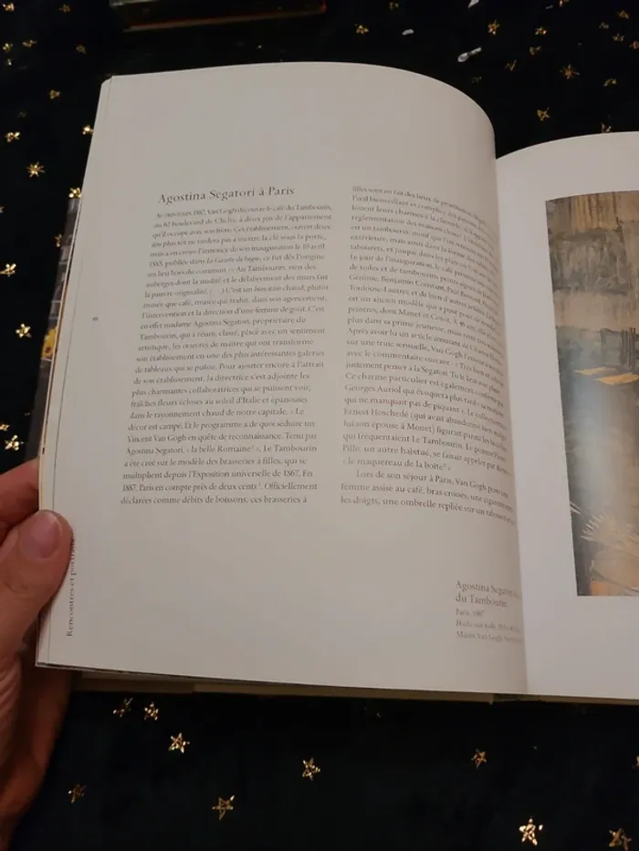 Livre Van Gogh à l'Auberge Ravoux - photo numéro 8