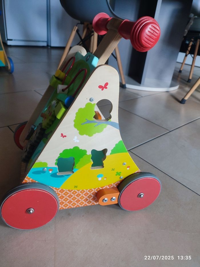 Chariot de marche - photo numéro 3