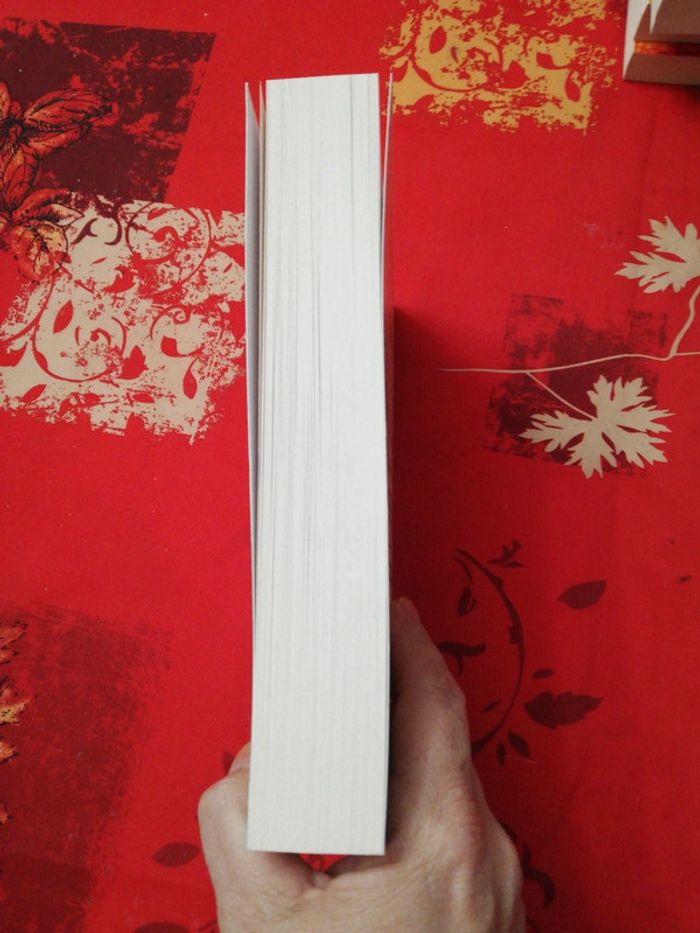 Méfiez vous des anges - photo numéro 4