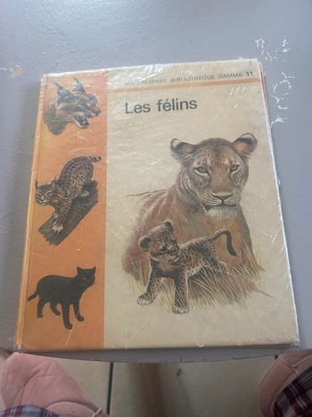 Les félins