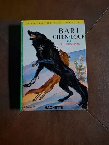 Bari chien loup