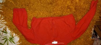 Boléro acheté chez gemo