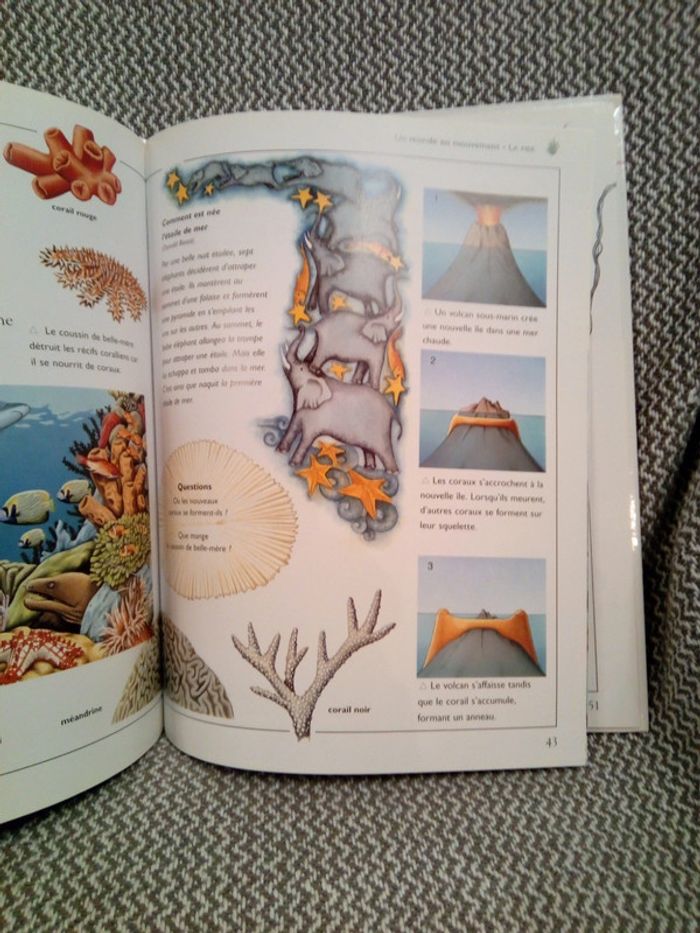 La Mer - Ma première encyclopédie - Ed. Nathan (pour France Loisirs) - photo numéro 16