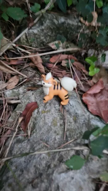 Super figurine Pokemon Nintendo Caninos