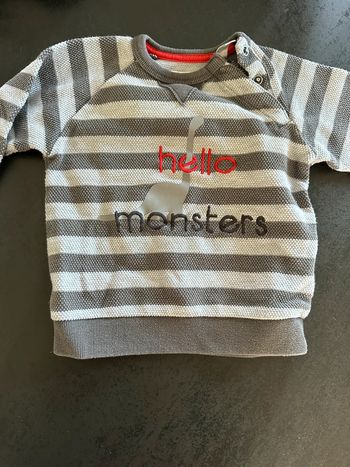 Pull gris obaibi 23 mois