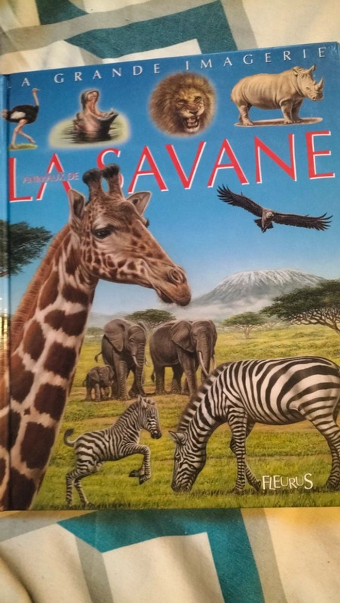 La grande imagerie :La Savane et les Dinosaures - photo numéro 4