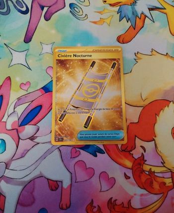 Civière nocturne 251/191