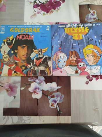 Vinyle Goldorak et Ulysse 31