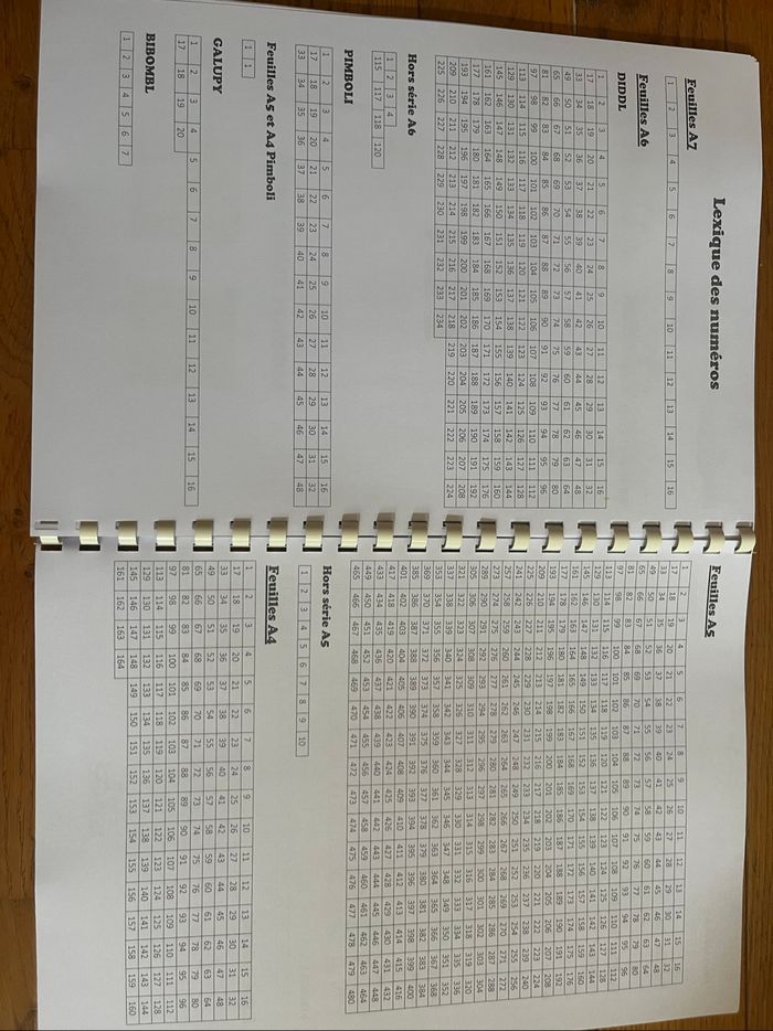 Livret de collection / registre / répertoire feuilles Diddl - photo numéro 10