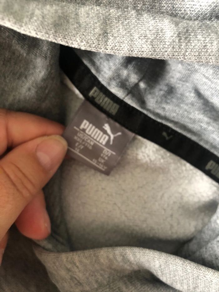 Pull puma - photo numéro 6