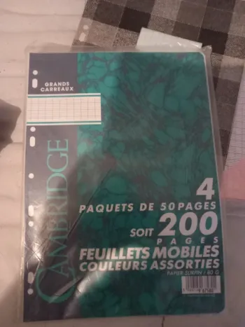 Lot de feuilles de différentes couleurs 21x29,7 grands carreaux perforées