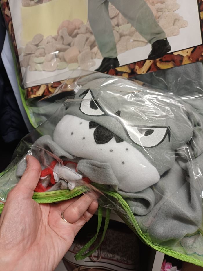 deguisement enfant - photo numéro 5