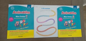 Animaths CP 2 fichiers + planches neufs