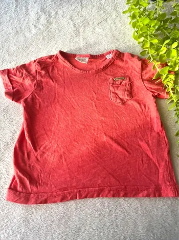 Très beau tee shirt à courte manche pour petit garçon.