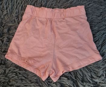 Short rose 18mois