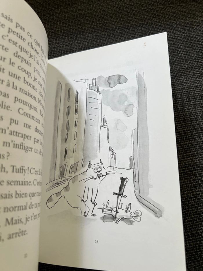 Journal d’un chat assassin - photo numéro 4