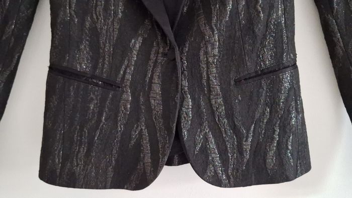 Blazer de fêtes à zébrures brillantes - photo numéro 3