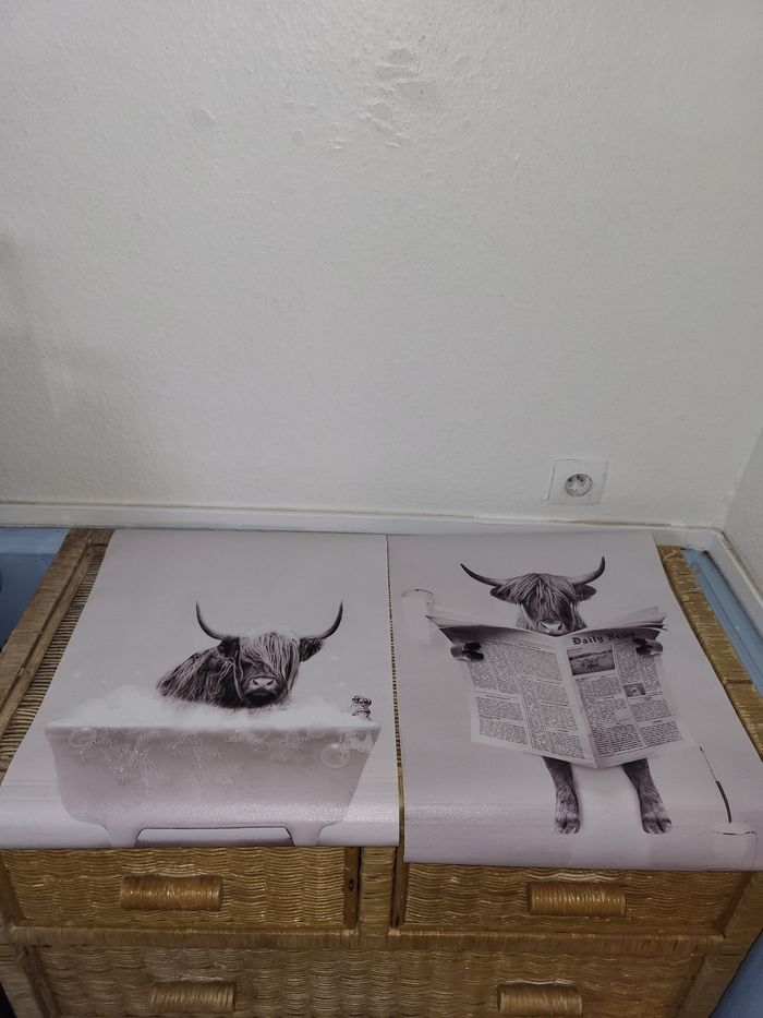 2 Papiers peints / posters photo vaches sur toilettes sans cadre Moti