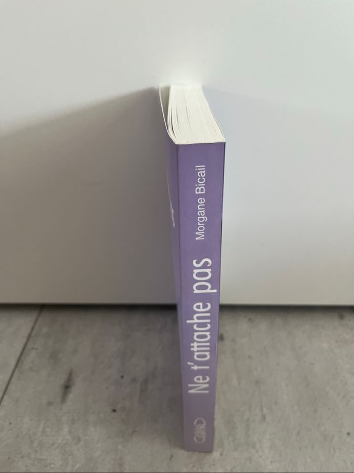 Ne t’attache pas de Morgane Bicail - photo numéro 3