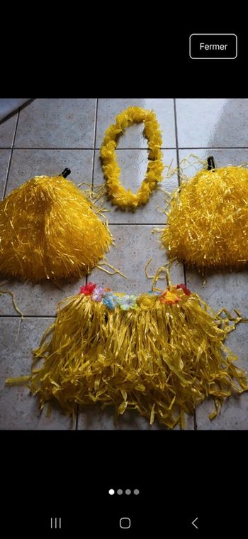 ensemble déguisé tahitienne