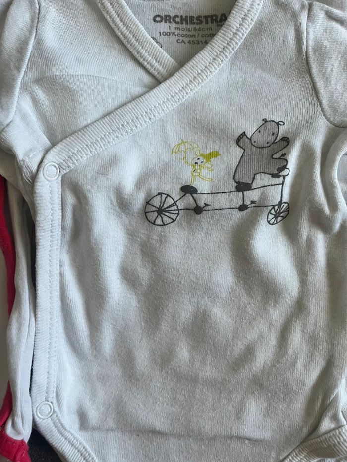 2 bodys mixte ML 1 mois - photo numéro 3