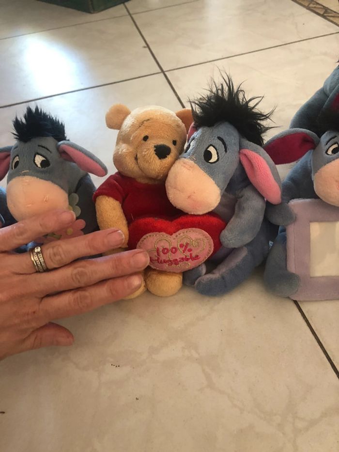 Lo petit borriquet - photo numéro 5