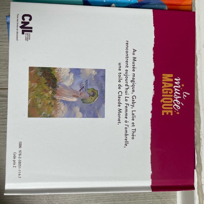 Livre la femme a l ombrelle - photo numéro 2