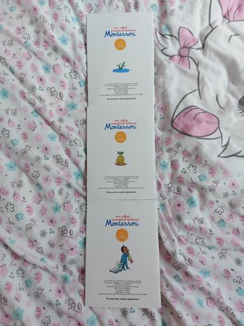 Lot 3 livres Montessori