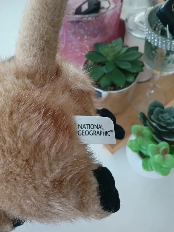 Péluche Suricate National Géographic🌿🎁 - photo numéro 7