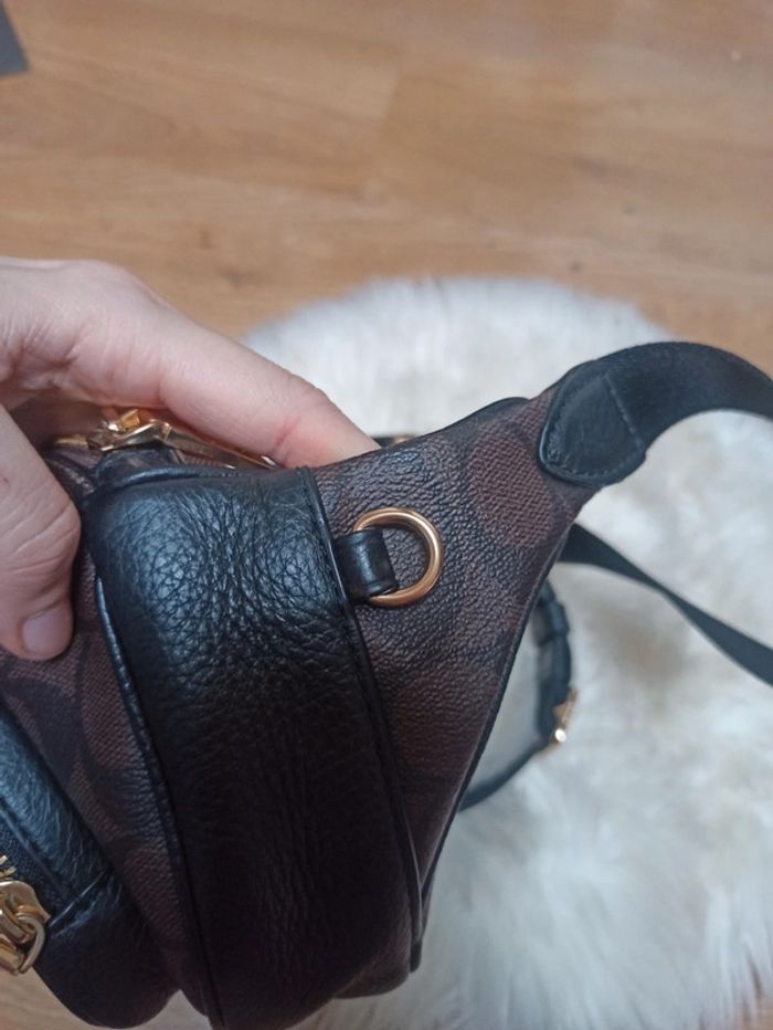 Banane coach - photo numéro 9