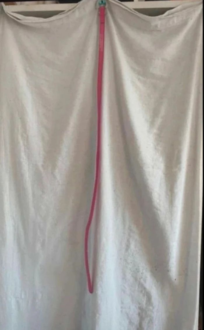 Ceinture - photo numéro 2