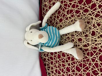 Doudou chien blanc rayures bleu NOUNOURS