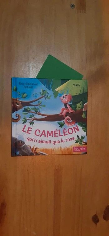 Livre le caméléon qui n'aimait que le rose