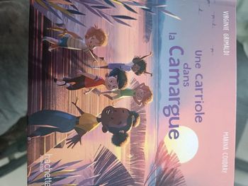 Une carriole dans la camargue