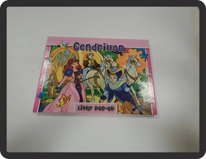 Livre cendrillon
