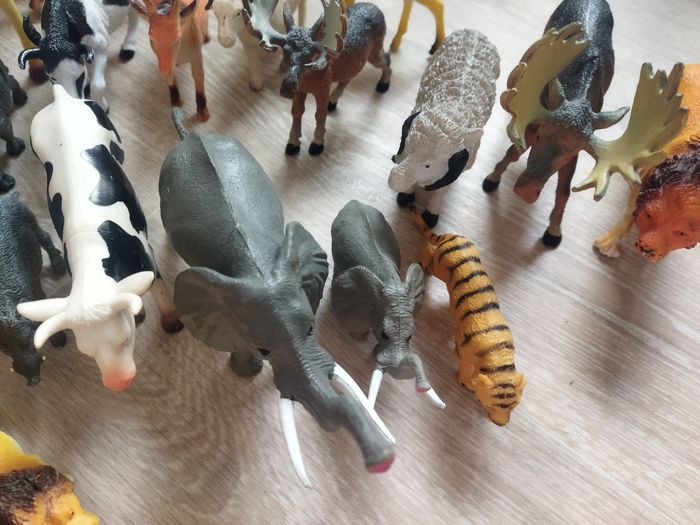 Lot animaux - photo numéro 4