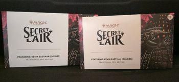 Lot 2 Secret Lair Featuring: Kevin Eastman (Colors) Foil Edition Teenage Mutant Ninja × Magic the Gathering