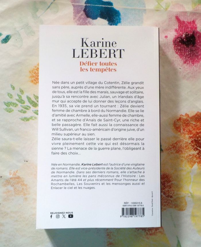 DEFIER TOUTES LES TEMPETES de Karine LEBERT Ed. France Loisirs - photo numéro 3