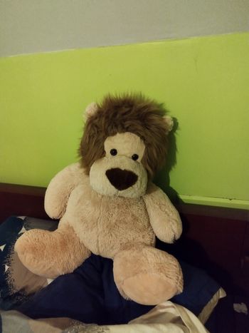 peluche xxl