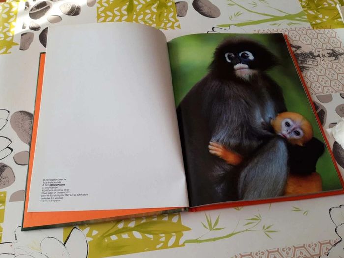 Livre :  Le monde  merveilleux des animaux  en  photos les singes - photo numéro 7