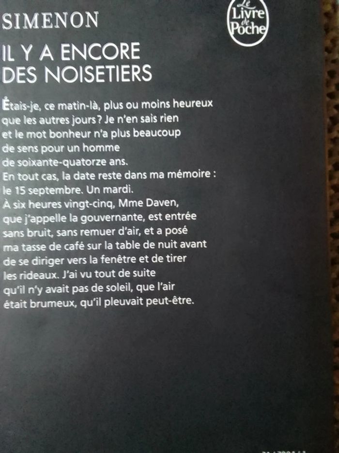 Simenon 🫧 Il y a encore des noiseries - photo numéro 3