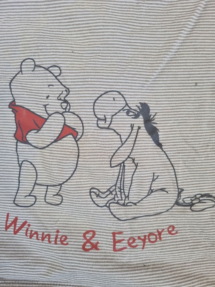 Tee shirt winnie 6mois - photo numéro 2